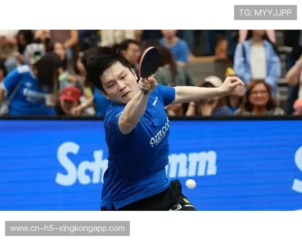 樊振东22分钟速胜，德甲三连胜势头强劲，樊振东赛况
