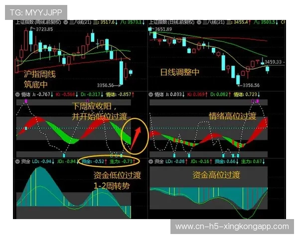 职业战队的周边商品设计策略趋势分析报告